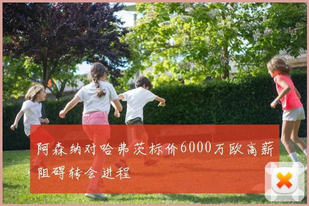 阿森纳对哈弗茨标价6000万欧高薪阻碍转会进程