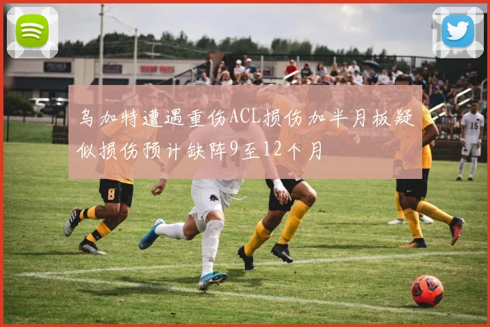 乌加特遭遇重伤ACL损伤加半月板疑似损伤预计缺阵9至12个月